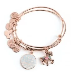 Disney Alex And Ani Bracelet Set - I Live In Fantasyland